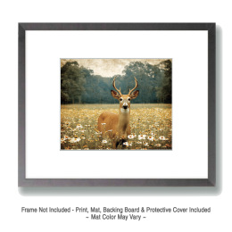 Curious Buck Deer in Field of Daisies - Landscape Art