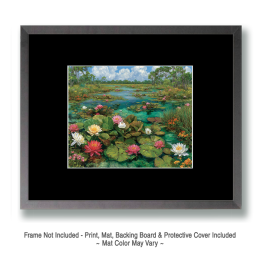 Multi-Color Lotus Blossoms on the Kissimmee River in the Everglades - Landscape Art