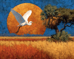 Great White Heron in Everglades - Landscape Art Print