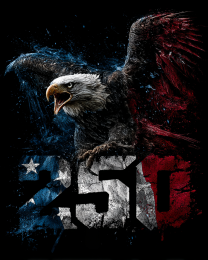 American Bald Eagle - USA 250 Wall Art