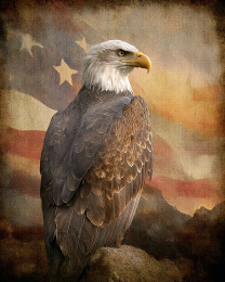 Bald Eagle with American Flag Waving - USA 250 Wall Art