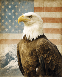 Bald Eagle in Front of the American Flag - USA 250 Wall Art