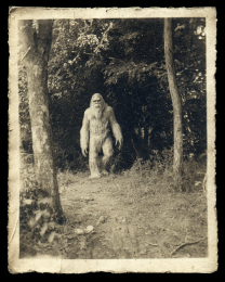 Vintage Photo of Bigfoot Wanting to Make Friends