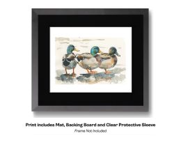 Mallard Group