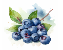 Blueberry Bunch