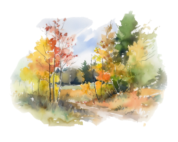 Autumn Color Landscape