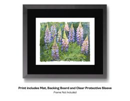 Purple Cone Flowers