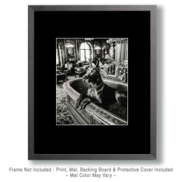 B&W of Great Dane in Bathtub - Art for the Bathroom