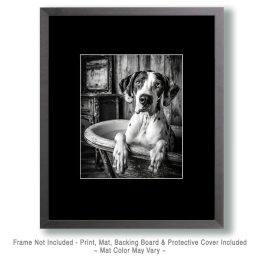 Black and White Curious Great Dane in Bathtub - Art for the Bathroom
