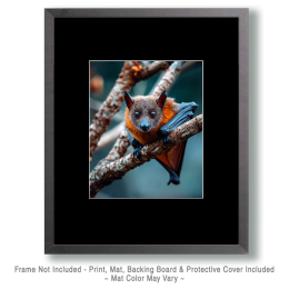 Bat Looking at You Art