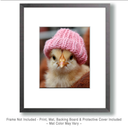 Melinda from Missouri - Chicken Chics Art