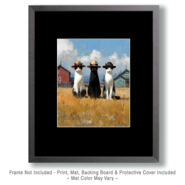Three Kansas Kitties - Funny Cat Wall Art