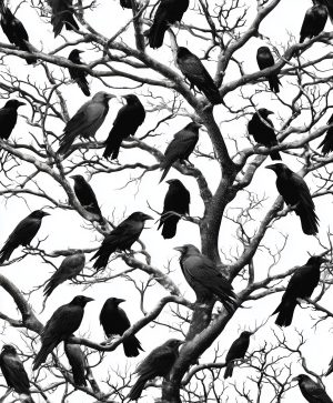 30 Ravens in a Tree
