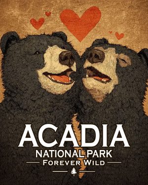 Acadia National Park - Maine - Forever Wild - Black Bears in Love