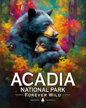 Acadia National Park - Maine - Forever Wild - Mom & Baby Bear