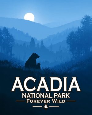 Acadia National Park - Maine - Forever Wild - Mother Bear and Cub Enjoy the Evening