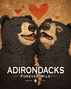 Adirondacks - New York State  - Forever Wild - Black Bears in Love