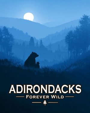 Adirondacks - New York State  - Forever Wild - Mother Bear and Cub Enjoy the Evening