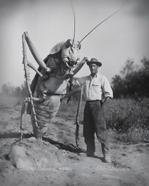 Amana Colonies, Iowa - Standing by Giant Grasshopper - Vintage Style Agriculture Cryptid Photo