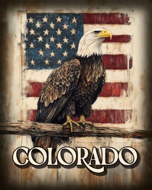 American Bald Eagle - Colorado Souvenir Art Print