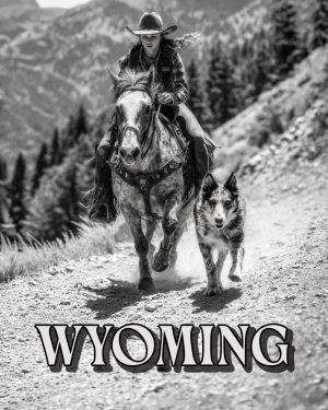 Antique Style Cowgirl and Dog -  Wyoming Souvenir Art Print