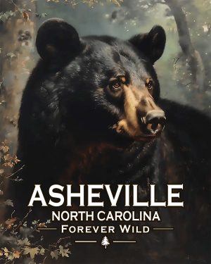 Ashville North Carolina  - Forever Wild - Black Bear
