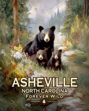 Ashville North Carolina  - Forever Wild - Black Bear Mother and Cubs