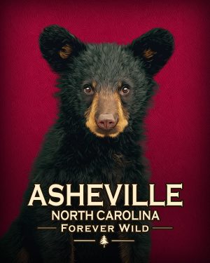 Ashville North Carolina  - Forever Wild - Hip Black Bear Cub