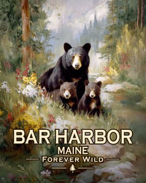Bar Harbor - Maine - Forever Wild - Black Bear Mother and Cubs