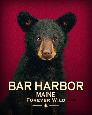 Bar Harbor - Maine - Forever Wild - Hip Black Bear Cub