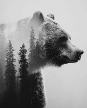 Bear Spirit - Black and White Wildlife Art Print