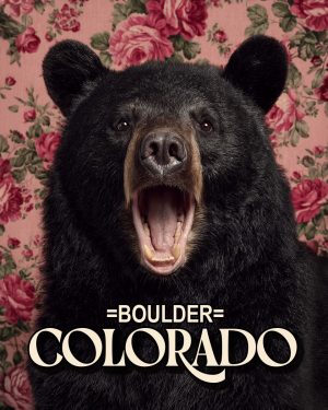 Bear with a viewpoint - Boulder Colorado Souvenir Art Print.jpg