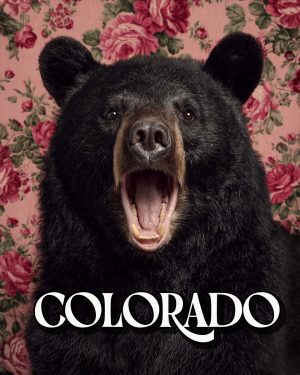 Bear with a viewpoint - Colorado Souvenir Art Print