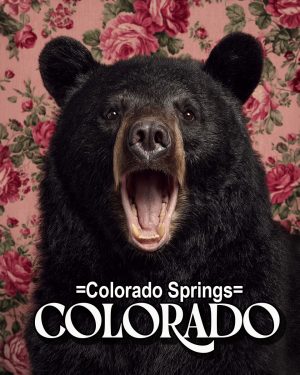 Bear with a viewpoint - Colorado Springs Souvenir Art Print