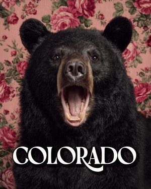 Bear with a viewpoint - Colorado Souvenir Art Print