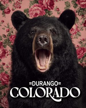 Bear with a viewpoint -  Durango Souvenir Art Print
