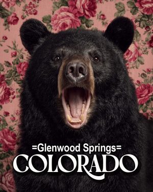 Bear with a viewpoint -  Glenwood Springs Souvenir Art Print