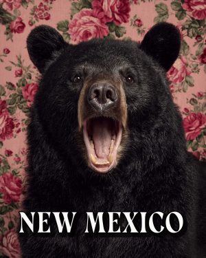 Bear with a viewpoint -  New Mexico Souvenir Art Print