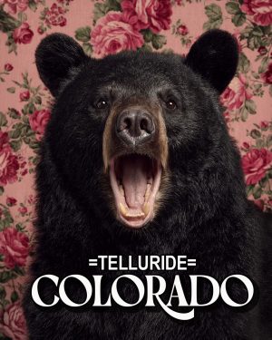 Bear with a viewpoint -  Telluride Souvenir Art Print