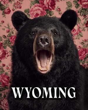 Bear with a viewpoint -  Wyoming Souvenir Art Print