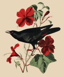 Bird with Flowers Vignette