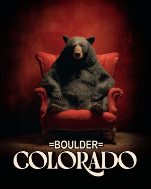 Black Bear in Red Chair - Boulder Colorado Souvenir Art Print.jpg