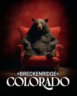 Black Bear in Red Chair - Breckenridge, Colorado Souvenir Art Print
