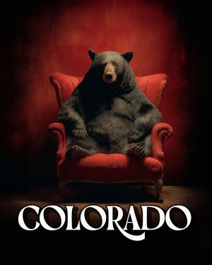 Black Bear in Red Chair - Colorado Souvenir Art Print