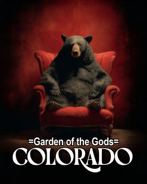 Black Bear in Red Chair - Garden of the Gods Souvenir Art Print