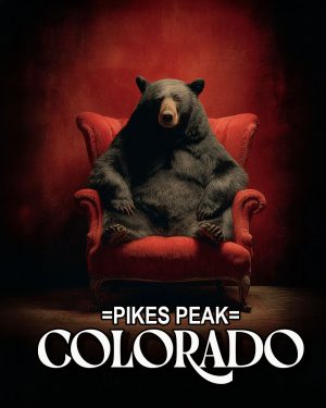 Black Bear in Red Chair -  Pikes Peak Souvenir Art Print