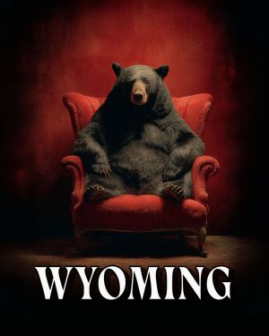 Black Bear in Red Chair -  Wyoming Souvenir Art Print