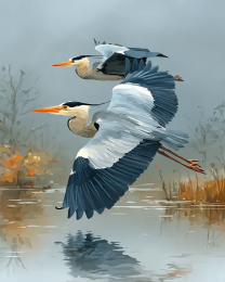 Coming in for the Landing Great Blue Heron Art Print
