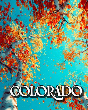 Brilliant Aspens - Colorado Souvenir Art Print