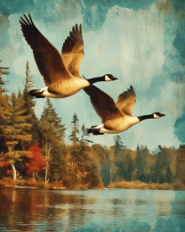 Antique Photo Style Canada Goose Art Print